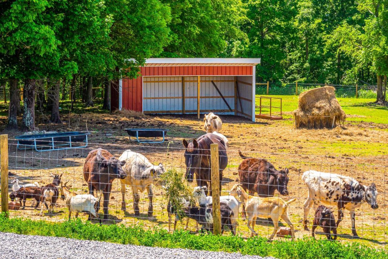 Almost Heaven Farmers Paradise On 50 Acres! Villa Brownsville Kültér fotó