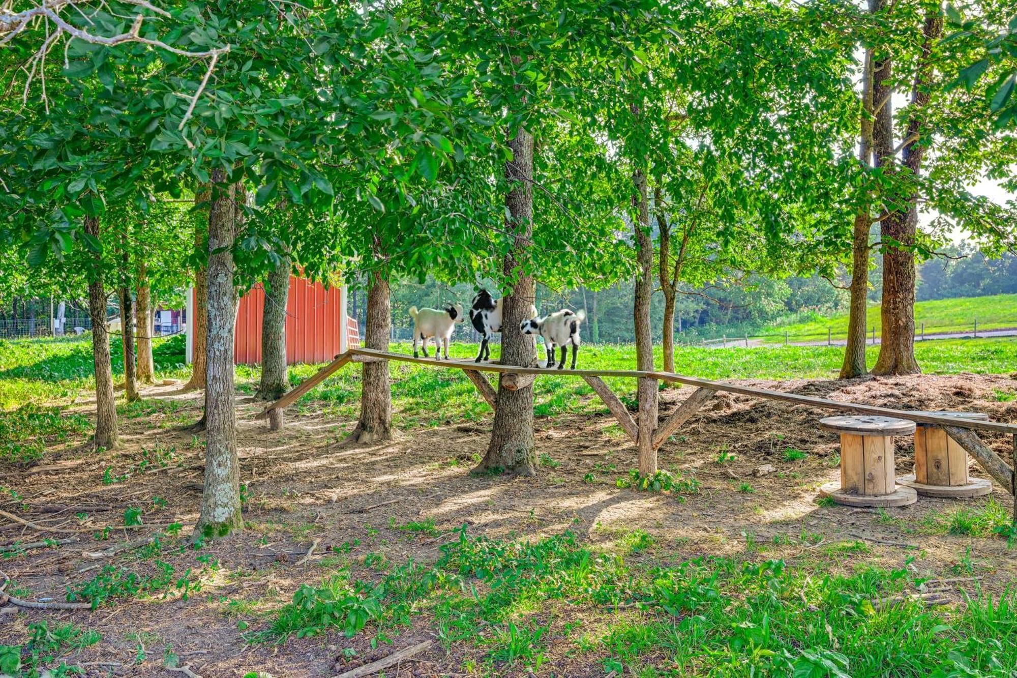 Almost Heaven Farmers Paradise On 50 Acres! Villa Brownsville Kültér fotó